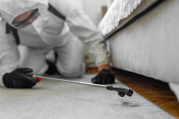 Professional Bed Bug Control technician working in Framingham, MA